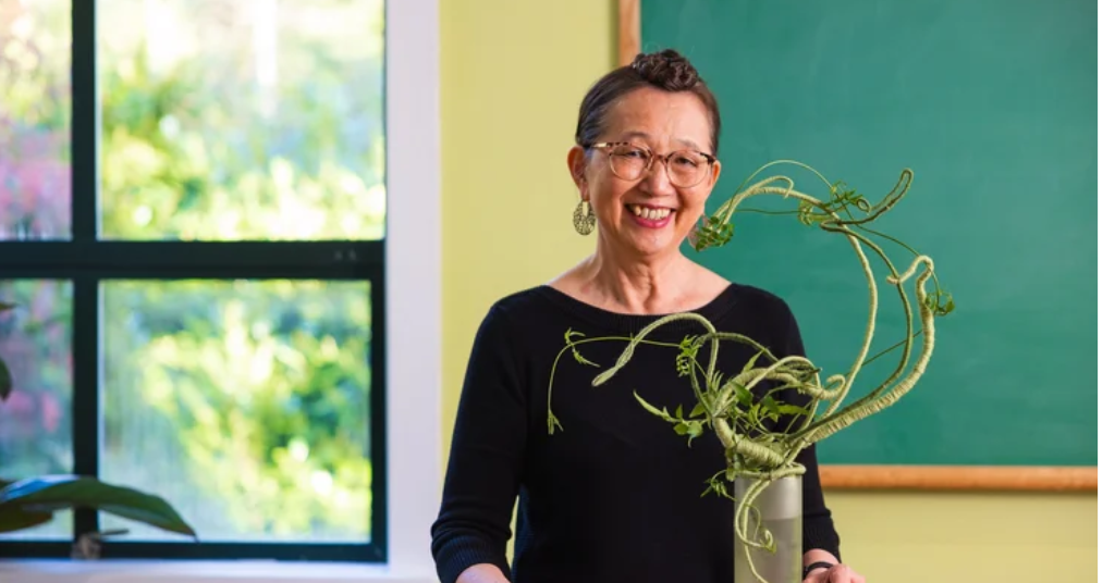 Hitomi Mentoring Course