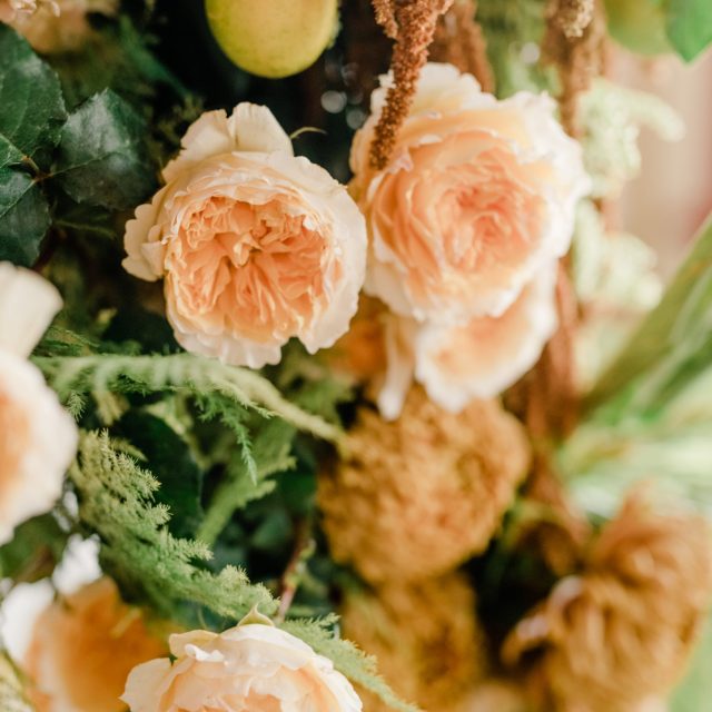 Ten23-Photography-Botanical-Brouhaha-Garden-Style-Workshop-Series-Fall-2019-624 Ten23-Photography-Botanical-Brouhaha-Garden-Style-Workshop-Series-Fall-2019-624